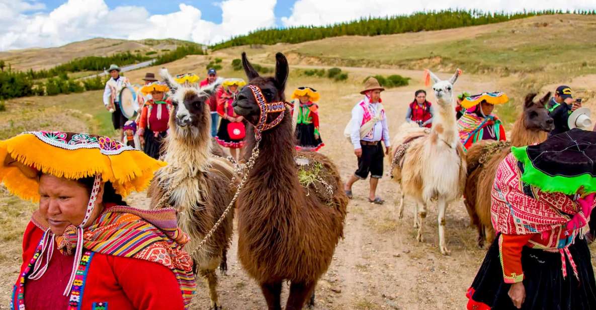 From Cusco: Llama Trekking - Booking Information