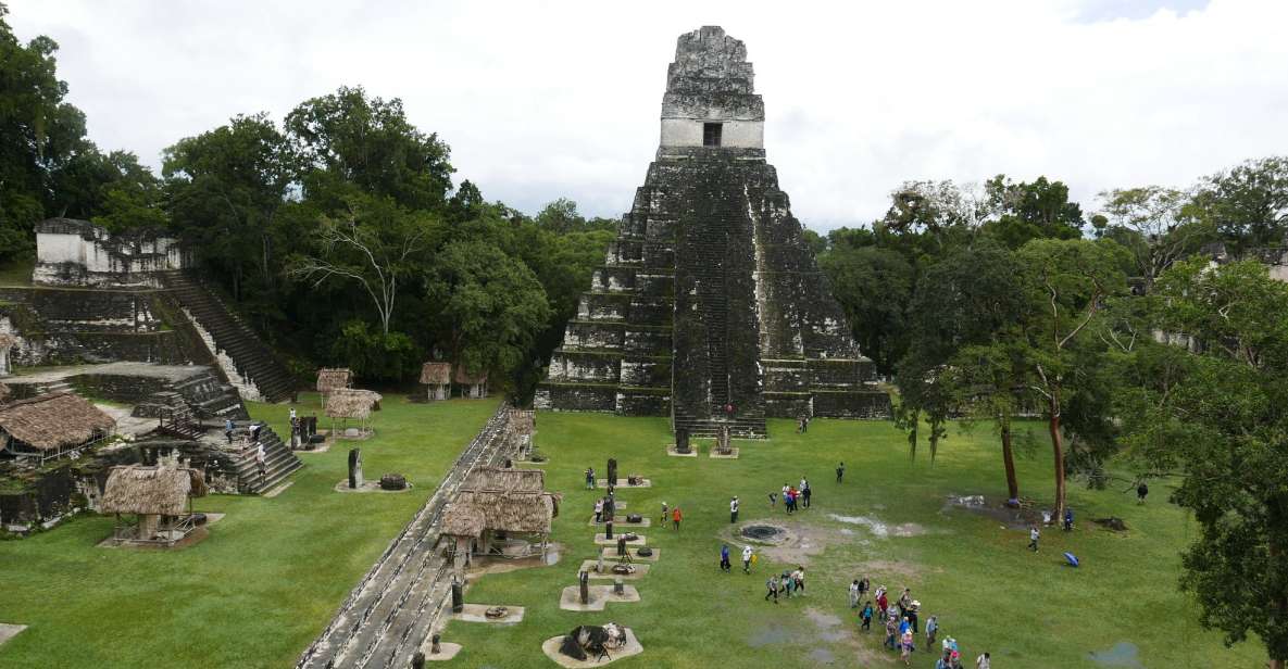 From Flores: Tikal Ruins Guided Day Trip - Review Summary