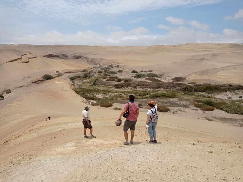 From Ica: Canyon of the Lost Day Trip - Activity Details