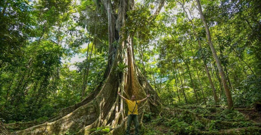 From Iquitos: 3-day Pacaya Samiria National Reserve Tour
