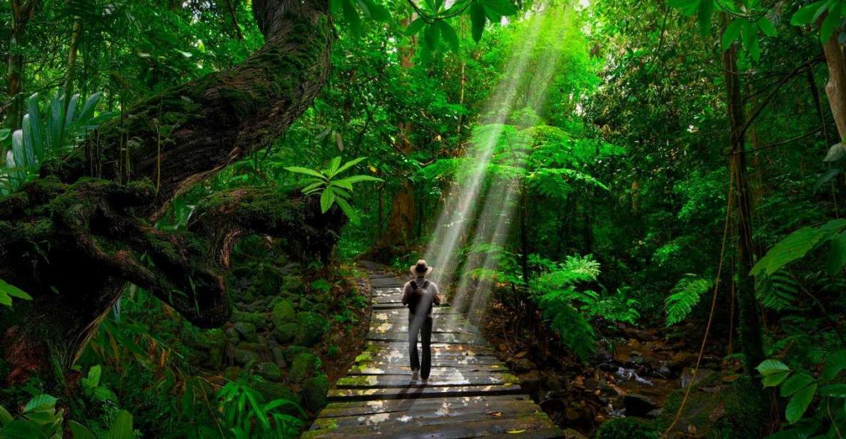 From Iquitos: Amazonas 3 Days 2 Nights - Accommodation Options
