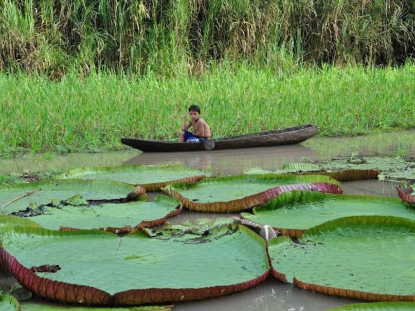 From Iquitos Navigate the Amazon River - Full Day - Experience the Amazons Breathtaking Beauty