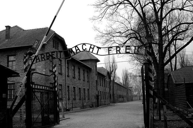From Krakow: Auschwitz-Birkenau and Salt Mine With Private Transfer - Tour Details