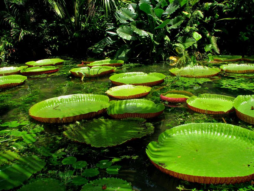 From Leticia: Wild Amazonas Adventure 4-Day Tour - Experience Highlights of the Adventure