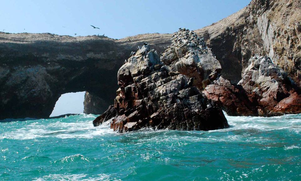 From Lima Ballestas Islands and Huacachina Tour - Tour Highlights