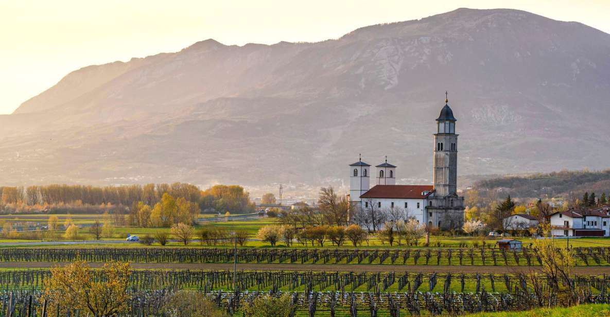 From Ljubljana: Vipava Valley Wine Express Tour - Good To Know