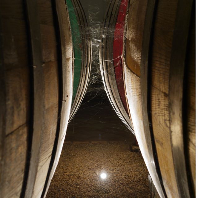 From Naples: Irpinia Wine Tour With 6 Tastings - Guided Vineyard Stroll and Cellar Tour