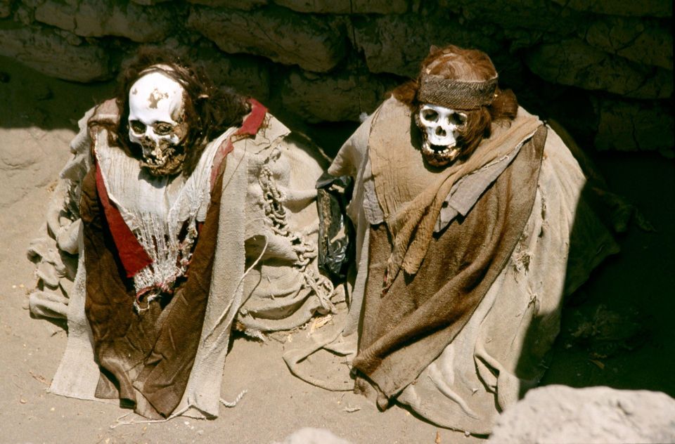 From Nazca Excursion to the Chauchilla Cemetery - Experience Highlights