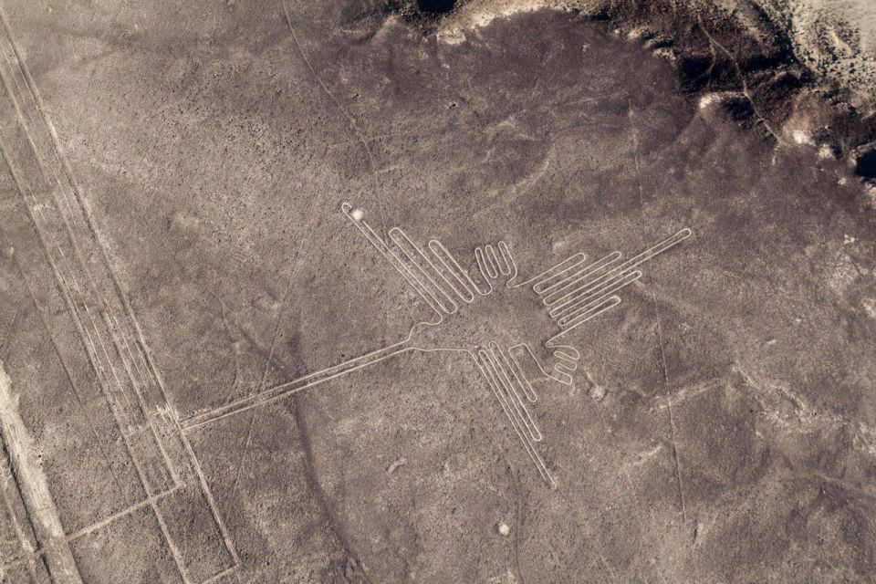 From Nazca: Small Plane Flight Over the Nazca Lines - Experience Highlights of the Nazca Lines Tour