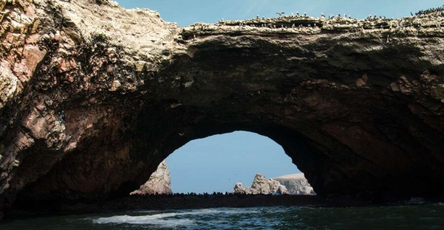 From Paracas: Ballestas Island Marine Wildlife Watching