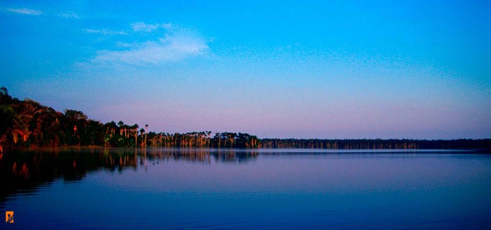 From Puerto Maldonado Hiking in the Jungle Sandoval Lak - Experience Highlights