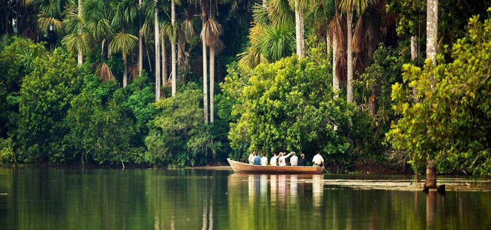 From Puerto Maldonado Kayak Tour Monkey Island for 1 Day - Experience Highlights