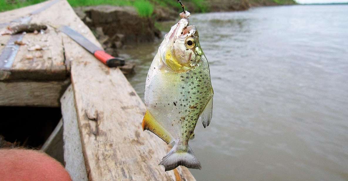 From Puerto Maldonado Piranha Fishing and Parrot Watching - Experience Highlights