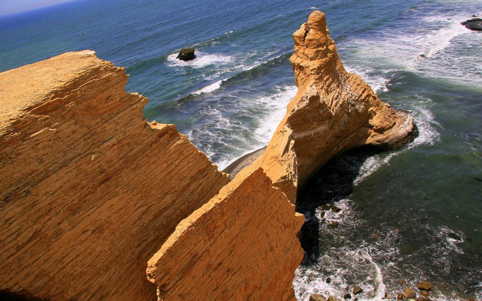From San Martin Port: 3-Hour Paracas Reserve Tour - Tour Duration and Guide