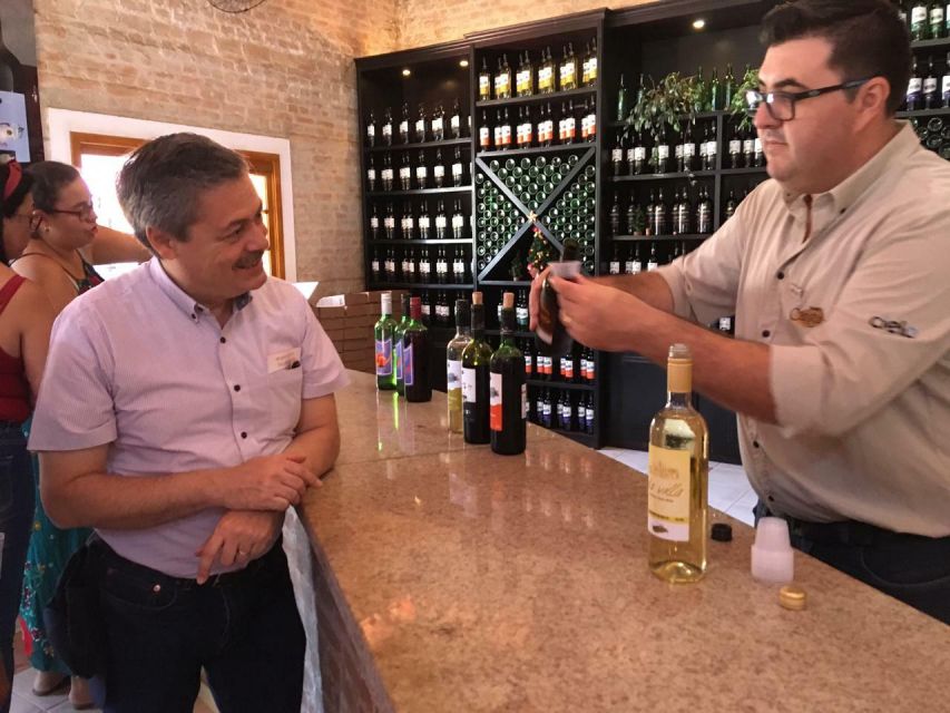 From São Paulo: São Roque Wineries Route and Shopping Tour - Experience Highlights