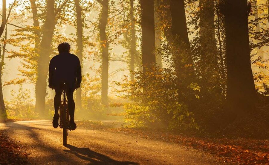From Siena: Chianti Electric Bike Tour