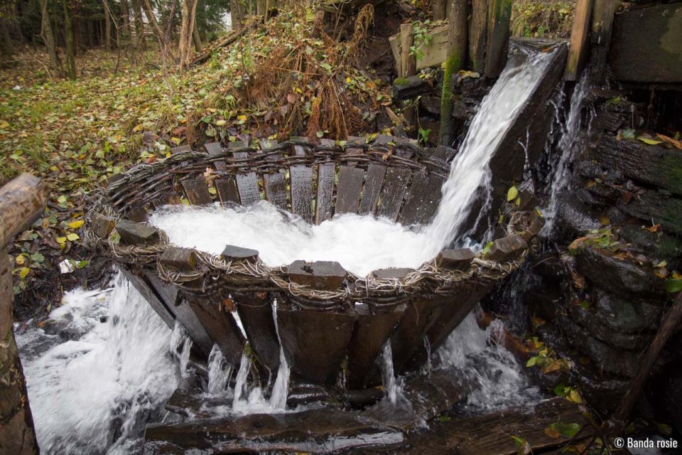 From Sighetu Marmatiei: Maramures and Barsana Monastery Tour