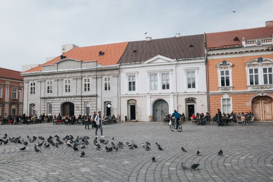 From Timisoara: Private Day Trip to Arad - Good To Know