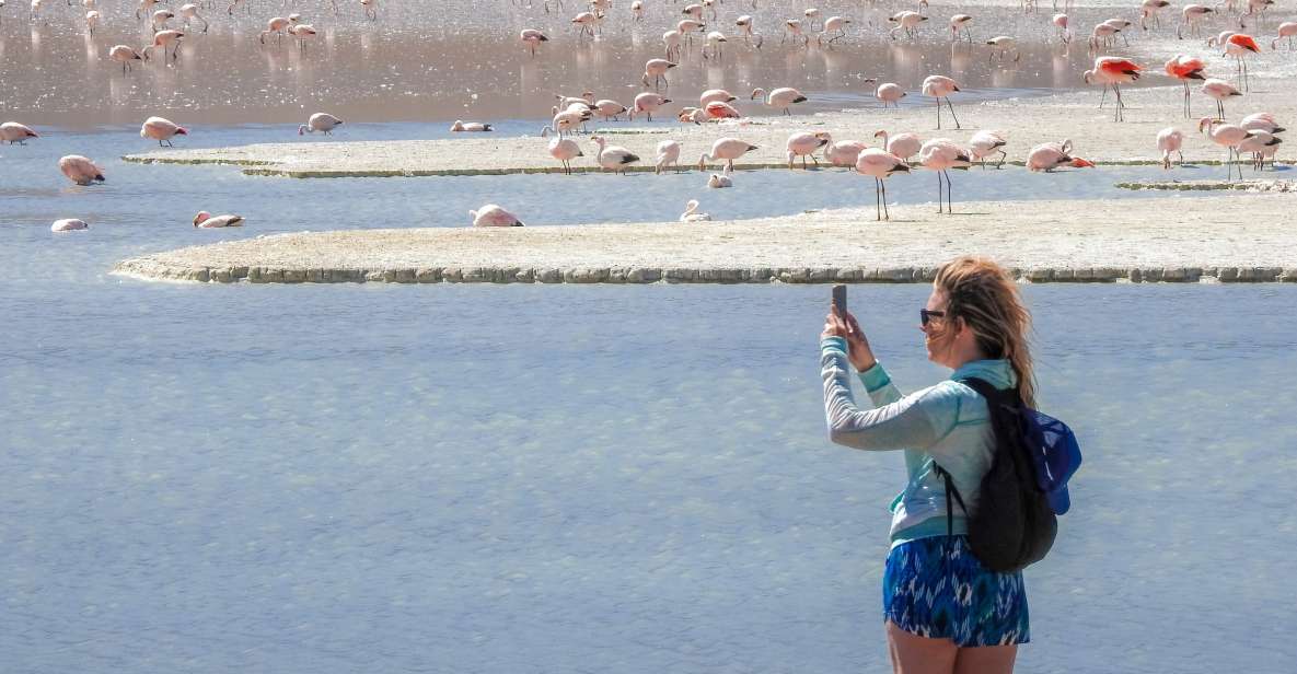 From Uyuni: Red Lagoon & Uyuni Salt Flats 3-Day Guided Tour - Meals and Wildlife Encounters