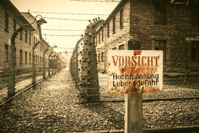 From Warsaw: Krakow and Auschwitz Day Tour by Train - Tour Overview