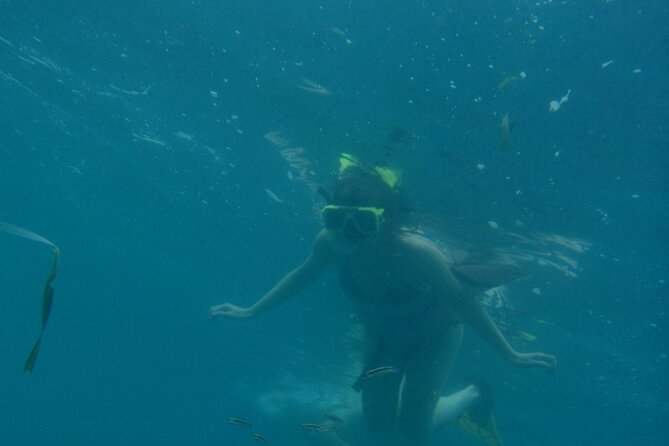 Full Day Cahuita Snorkel and Sloth Sanctuary From Puerto Viejo De Limón - Snorkeling Adventure