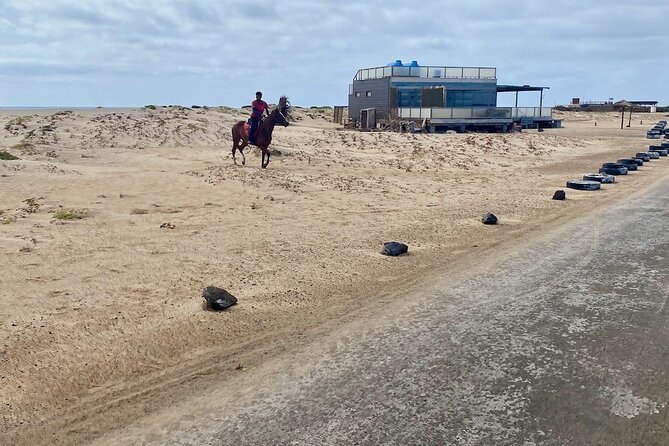 Full Day Group Tour - Includes Shark Bay & Salinas - The Sum Up