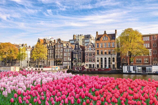 Full Day Private Shore Tour in Amsterdam From Amsterdam Port - Tour Details