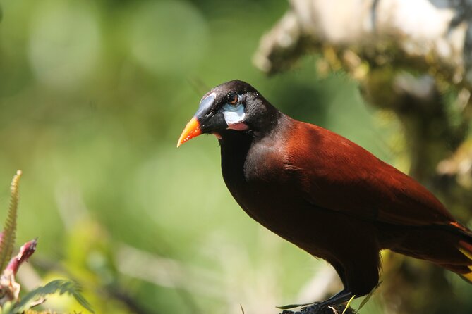 Full Day Private Tour in Santa Elena, Monteverde - Good To Know