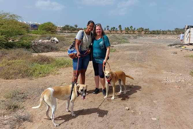 Full Day Private Tour - Includes Tubarões Bay & Salinas - The Sum Up