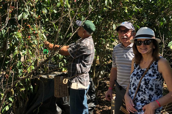 Full-Day Private Tour to San Sebastian Del Oeste With Guide - The Sum Up