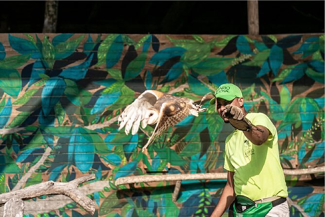 Full Day Tour Aviary With Beach in Baru With Lunch - Good To Know