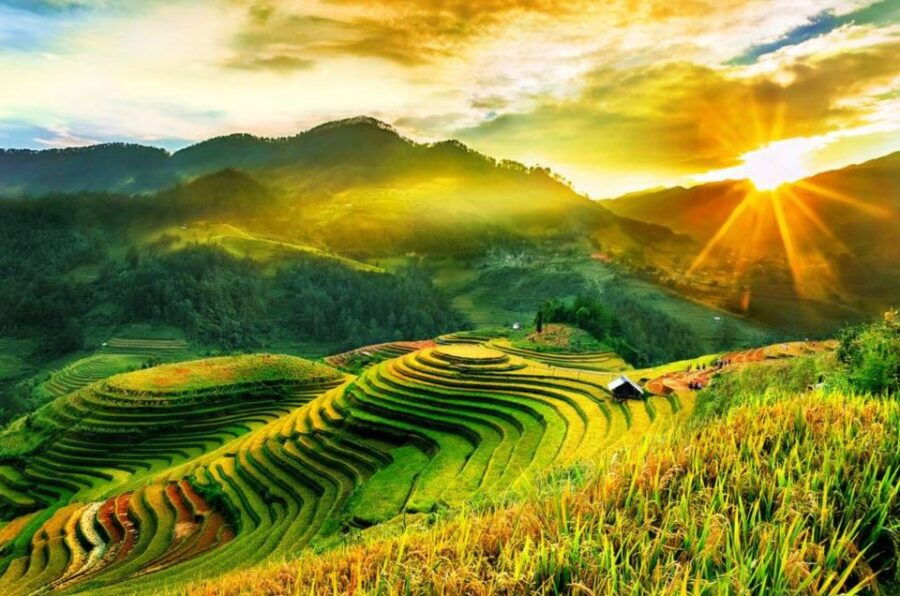 Full Day Tour in Sapa Trekking With Local Guide - Highlights