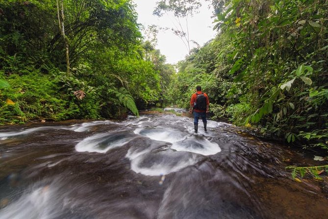 Full-Day Waterfalls and Caverns Tour - Good To Know