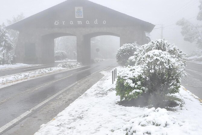 Gramado and Canela Private Tour From Porto Alegre - Tour Pricing and Booking Details