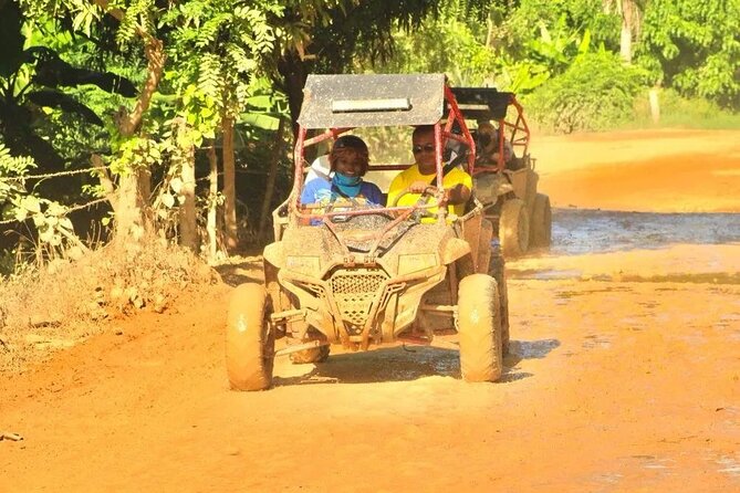 Guided Buggy Tour of Punta Cana - Tour Overview