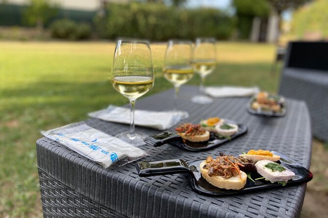 Guided E-Bike Tour With Food and Wine Tasting - Pricing Details