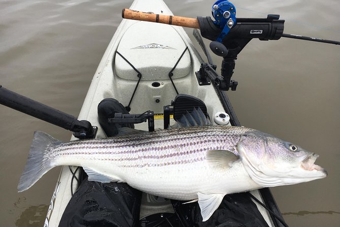 Guided Kayak Fishing Tour - Inclusions