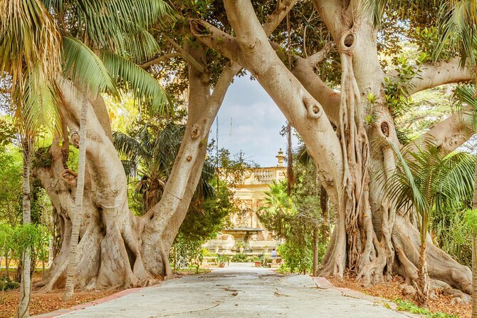 Guided Sightseeing Tour in Malta or in Gozo - Booking Options and Availability