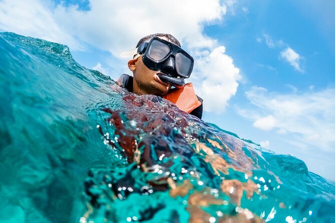 Guided Snorkeling & Shipwreck Experience in Santa Maria - Contact and Support Information