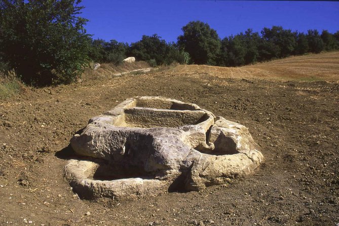 Guided Tour of the Palmenti of Pietranico - Tour Overview
