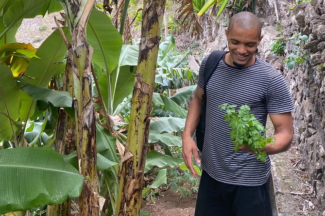 Half-Day Adventure Hike in Ribeira Grande. - Foraging for Lunch