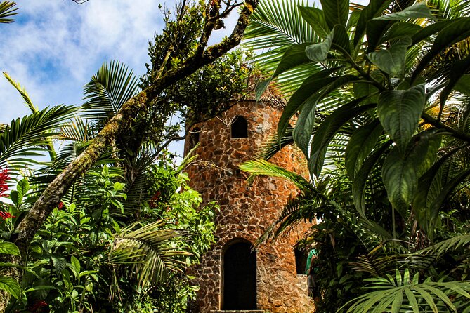 Half Day Adventure Private Tour in El Yunque Rainforest - Good To Know