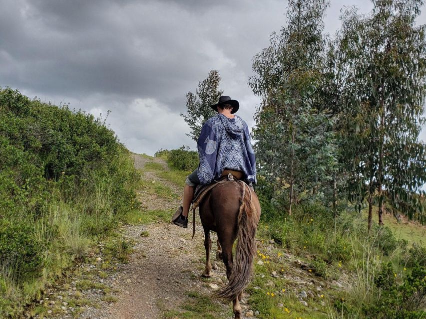 Half Day : Mountain Ride on Horseback - Inclusions and Services