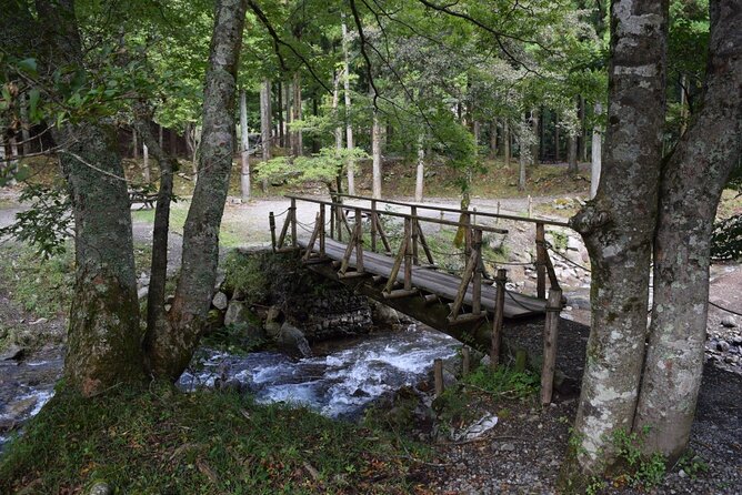 Half Day Private Tour of the Sila National Park - Itinerary Overview