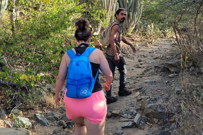Half Day Tour Arikok National Park & Snorkel With Private Guide - Common Questions