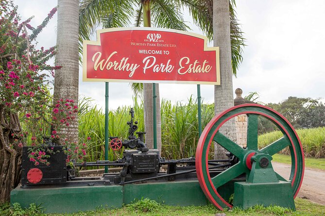 Half Day Tour in Worthy Park Rum Estate - Good To Know