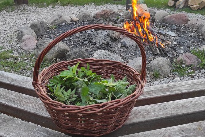 Herbal and Wild Food Walking Tour in Warsaw Area - Good To Know