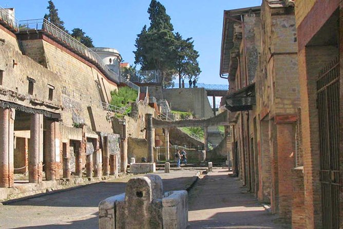 Herculaneum & Vesuvius Shore Excursion - Assistance and Services Provided