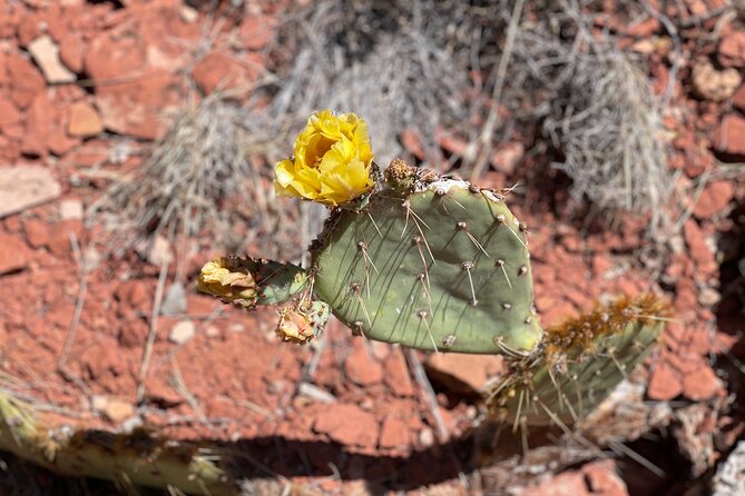Hike and Heal Couples Relationship in Sedona Healing Red Rocks - Benefits of Hiking in Sedona