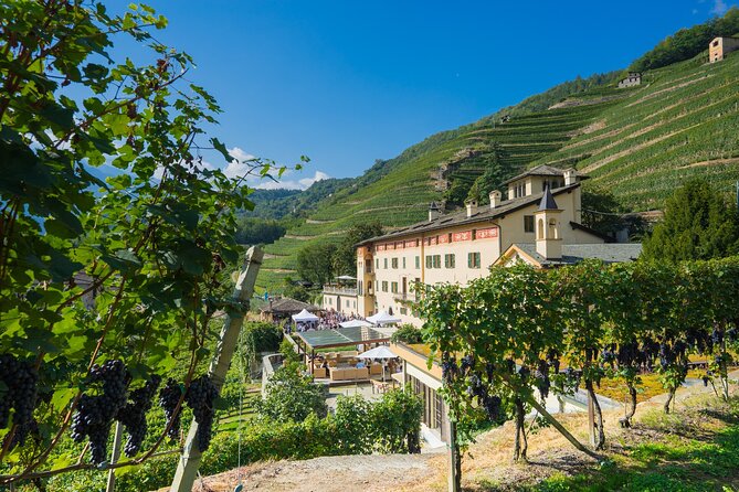 Historic Estate Tour and Wine Tasting in Valtellina - Booking Information
